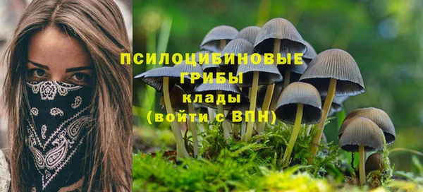 дурь Алексеевка