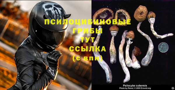 эйфоретик Абдулино