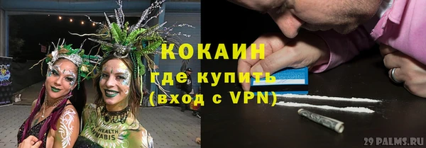 амф Алексин