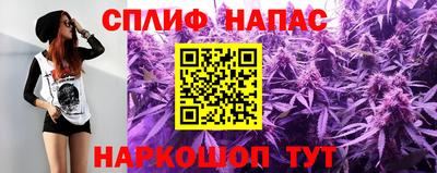 сатива Краснознаменск