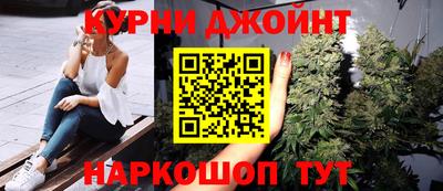 сатива Краснознаменск