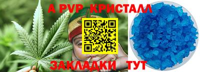 сатива Краснознаменск