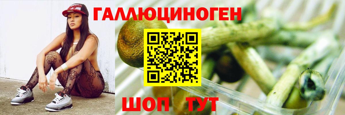 Донской  Галлюциногенные грибы Psilocybe  Галлюциногенные грибы ЛСД  Вход с VPN 