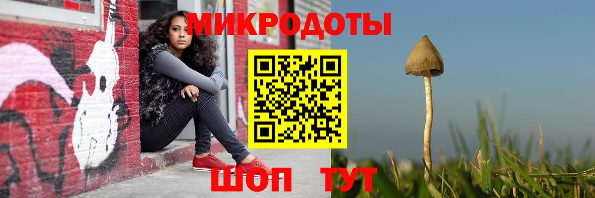 Галлюциногенные грибы GOLDEN TEACHER Донской